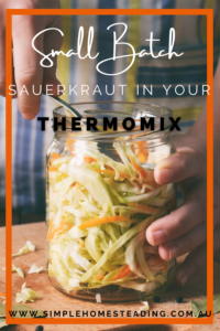 Easy Sauerkraut in the Thermomix