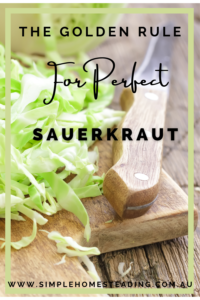 Easy Sauerkraut in the Thermie