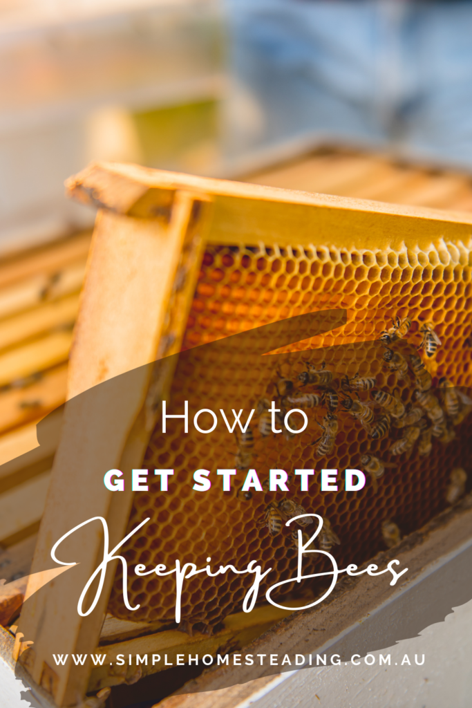 Get started keeping bees | beginner beekeeping