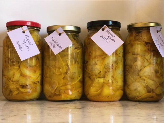 Read more about the article Pickled Pattypan Squash
