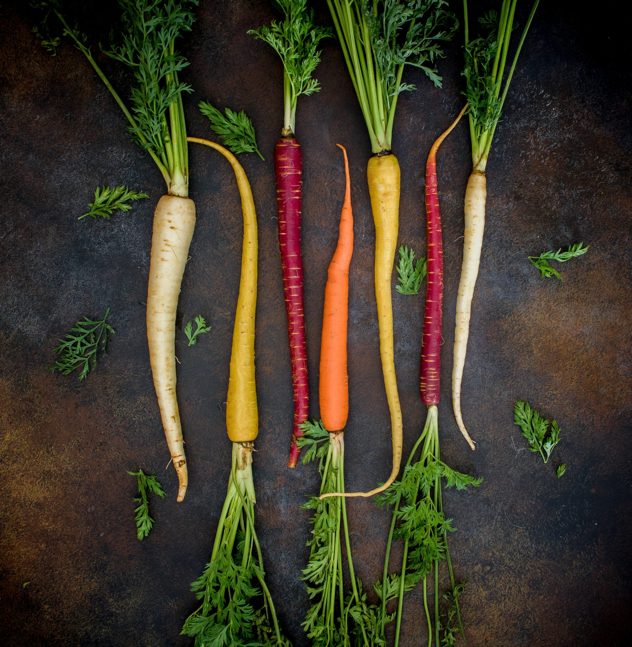 growing heirloom carrots
