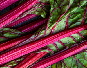 grow rhubarb
