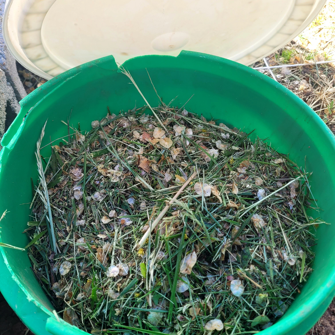 Read more about the article How to Install a Worm Tunnel and Improve your Garden Soil